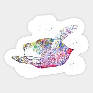 Sea turtle Sticker